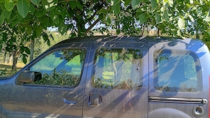 Renault kangoo 15 DCI  - imagine 2