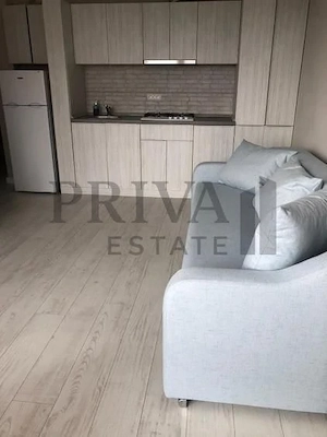 Apartament 2 camere, mobilat si utilat, loc de parcare, Rebreanu Tower - imagine 4