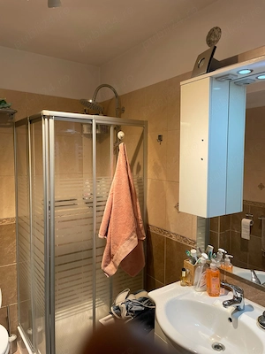 Vila duplex P+1+M Strada Astrelor - imagine 8