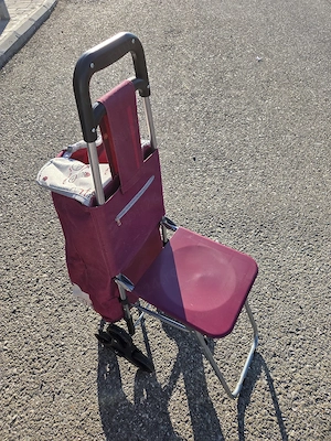 Cărucior de cumparaturi