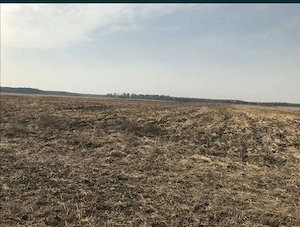 Vând 1,04 Ha Teren Agricol Arad (Santoma)   Lângă Autostrada A1 - imagine 4