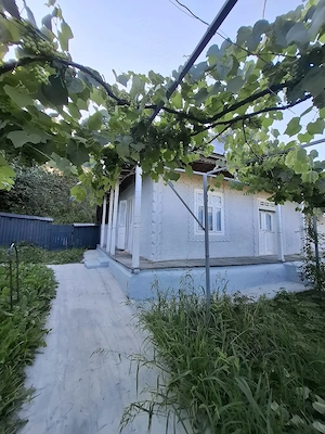 Vând teren intravilan 3488 mp  cu casă bătrânească și anexe pe el