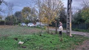 Oportunitate imobiliara   MERENI 