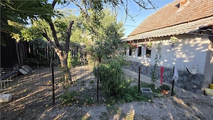 Casa Pustinis 2 camere - imagine 16