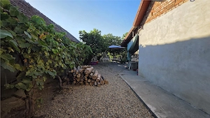 Casa Pustinis 2 camere - imagine 5