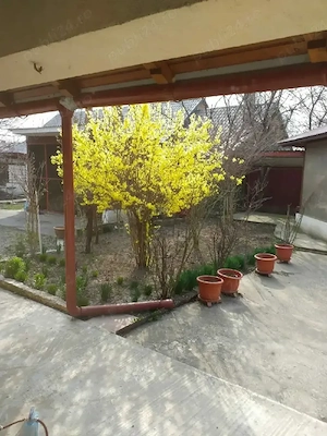 vind casă în Cordun str.vasile alecsandri  - imagine 5