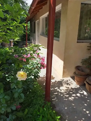 vind casă în Cordun str.vasile alecsandri  - imagine 4