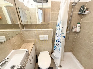Apartament cu 2 camere | Etajul 1 | Piata Unirii | Timisoara de inchiriat. - imagine 12