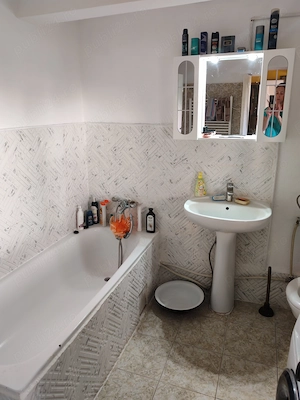Casa cu 3 camere in Lazuri - imagine 4