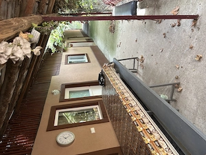 vind casa in com Colceag , sat Parepa - imagine 3