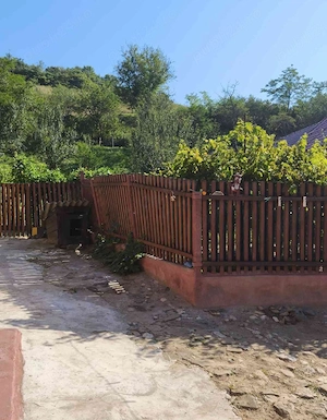 Casă de vânzare în Ormeniș  - imagine 4