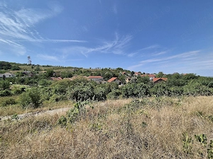 Teren Oncea Paleu 1062mp
