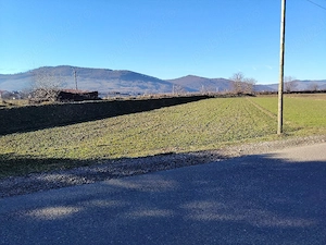 vand teren Capu Codrului înspre Păltinoasa