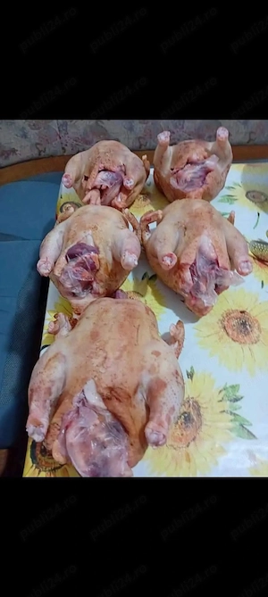 Vând găini tinere tăiate,aduc în Târgu Jiu și Rovinari. - imagine 3