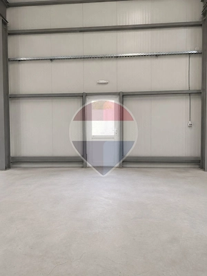 Hala productie / depozitare / logistica langa DN - imagine 6