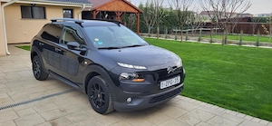 Citroen C4 Cactus Model Panoramic