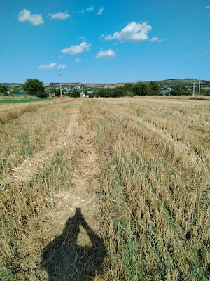 Teren intravilan folosit că agricol  - imagine 2