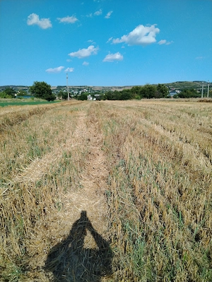 Teren intravilan folosit că agricol 