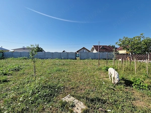 Teren piatra olt - imagine 4