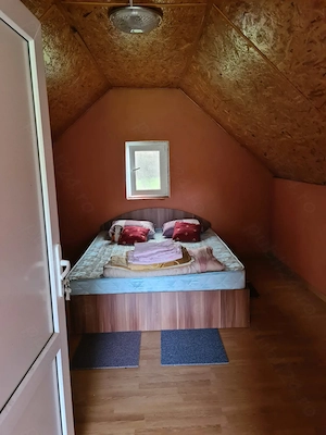 Casă de vacanță și teren extravilan - imagine 5