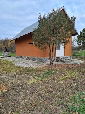 Casă de vacanță și teren extravilan - imagine 9