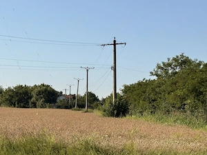 Vand teren intravilan Vladiceasca 1.000-3.000 - imagine 3