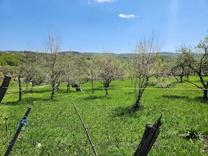 Vand teren 16000 mp intravilan extravilan in zona Valenii de Munte jud. Prahova - imagine 3