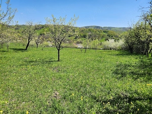 Vand teren 16000 mp intravilan extravilan in zona Valenii de Munte jud. Prahova