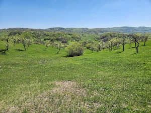 Vand teren 16000 mp intravilan extravilan in zona Valenii de Munte jud. Prahova - imagine 2