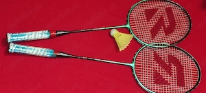 PT. CUNOSCATORI  2 rachete palete badminton  de colectie REDSON RB 106  pret 200 ron 