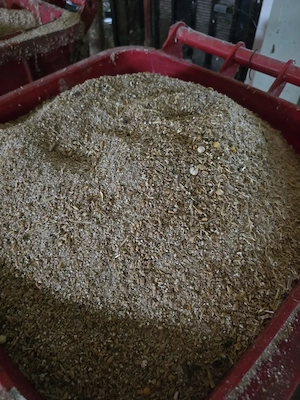 Se vinde porc 200- 230 kg natural din rasa Duroc - imagine 5