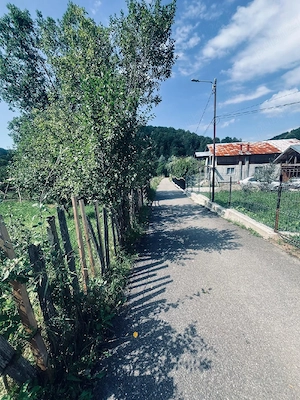 Teren de vânzare în adunați - imagine 8