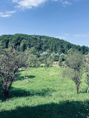 Teren de vânzare în adunați - imagine 4
