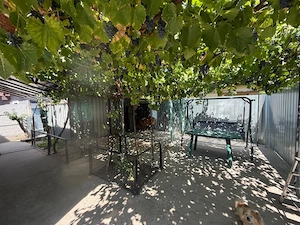 Vand casa in Craiova (Bresti) - imagine 3