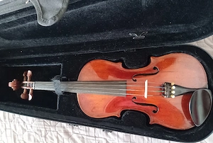 Vand Vioara de lutier de peste 150 ani
