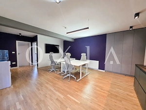 AX1316 Aradului-Lipovei, Spatiu pentru birouri premium - imagine 2