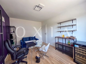 AX1316 Aradului-Lipovei, Spatiu pentru birouri premium - imagine 13