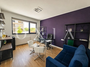 AX1316 Aradului-Lipovei, Spatiu pentru birouri premium - imagine 9