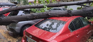 Auto avariat Infiniti Q50 - imagine 7