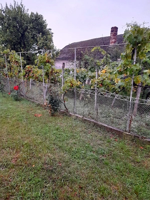 Casă in 2 rate în comuna Pilu, jud.Arad - imagine 2