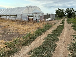 Teren Comana Mihai Bravu Intravilan Proprietar