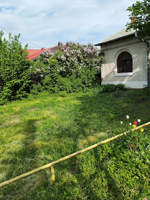 Vand casa 5 camere, cu teren 933 mp, langa Sc George Cosbuc, Ploiesti  - imagine 10