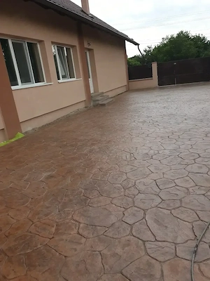 Casa de închiriat în Sannicolau Mare - imagine 3
