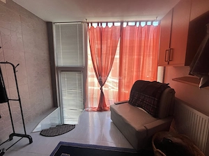 Lugoj, Parter De Vil #259;, Curte Proprie, 4 Cam., Pretabil  Afacere + Locuinta, Central - imagine 16