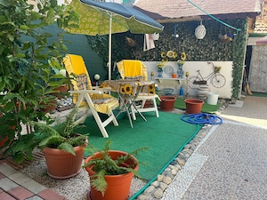 Lugoj, Parter De Vil #259;, Curte Proprie, 4 Cam., Pretabil  Afacere + Locuinta, Central - imagine 7
