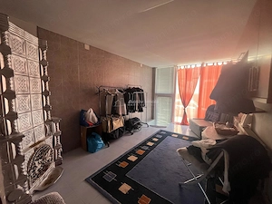 Lugoj, Parter De Vil #259;, Curte Proprie, 4 Cam., Pretabil  Afacere + Locuinta, Central - imagine 14