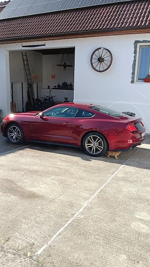 Vând Ford Mustang 2.3 din 2017 preț 18000 - imagine 2