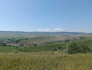 Teren extravilan 5.800 mp   Apahida, Cluj - imagine 4