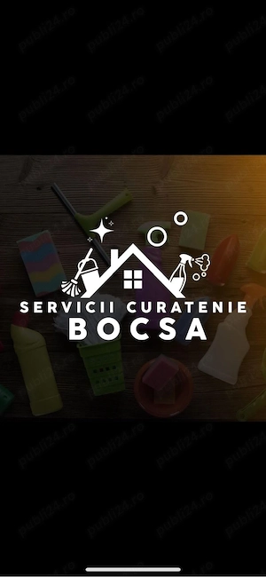 Servicii de curatenie 