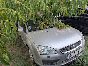 Ford Focus 2.0 TDCi 2005 - imagine 2